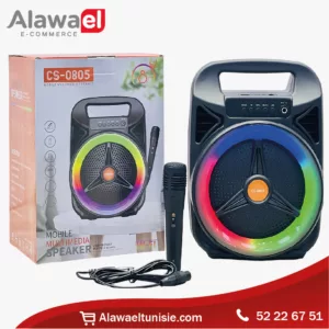 Enceinte portable karaoke CS‑0805 avec micro sans fil